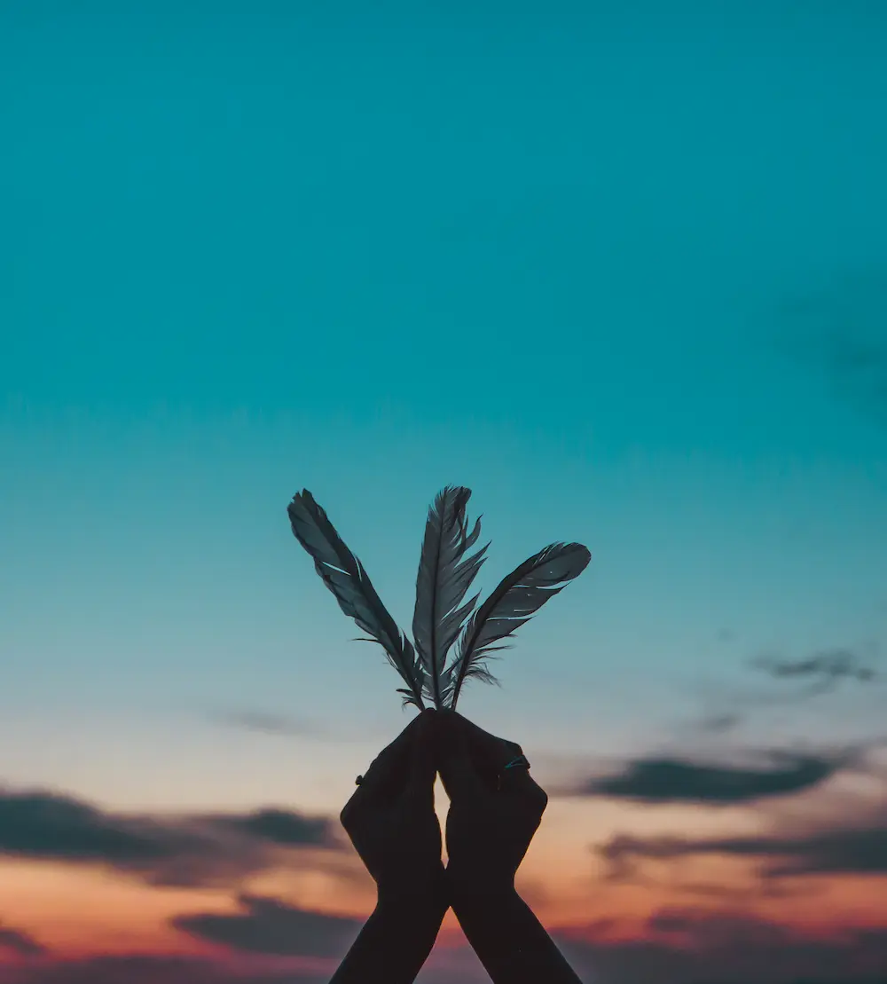 cropped-hands-woman-holding-feather-against-sky-sunset